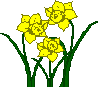 http://www.jardindespoetes.fr/images/jonquilles.gif